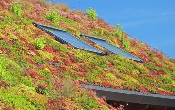Graig Felen living roof systems