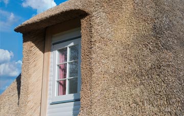 Graig Felen thatch roof disadvantages