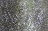 Graig Felen fibreglass roof work